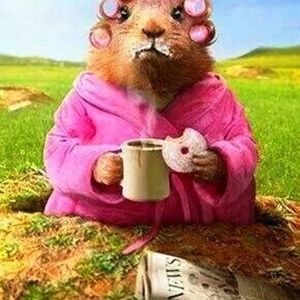 Meet your Posher, Lynn